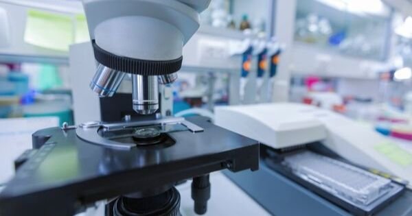 5 tipos de Laboratorios Biomédicos, fuentes de investigación