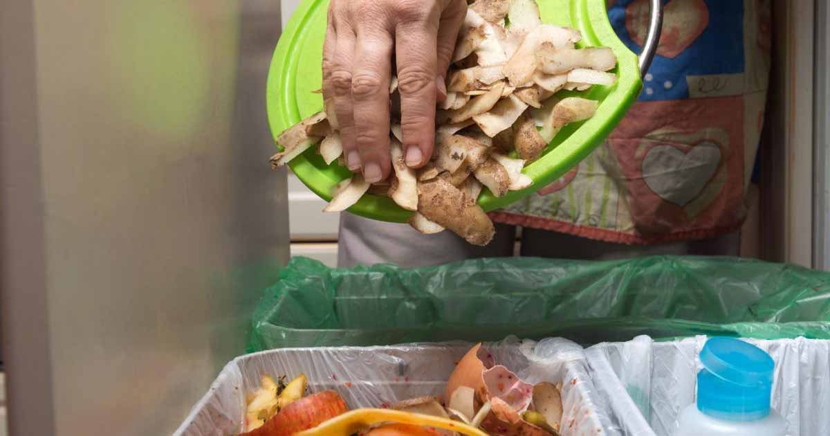 Forma eficaz de reciclar residuos de alimentos en hospitales