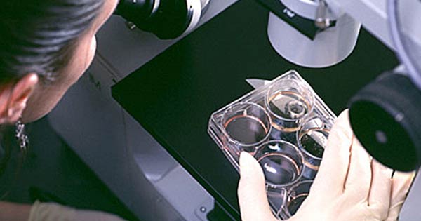Laboratorio de investigación de células madre diseño y equipamiento
