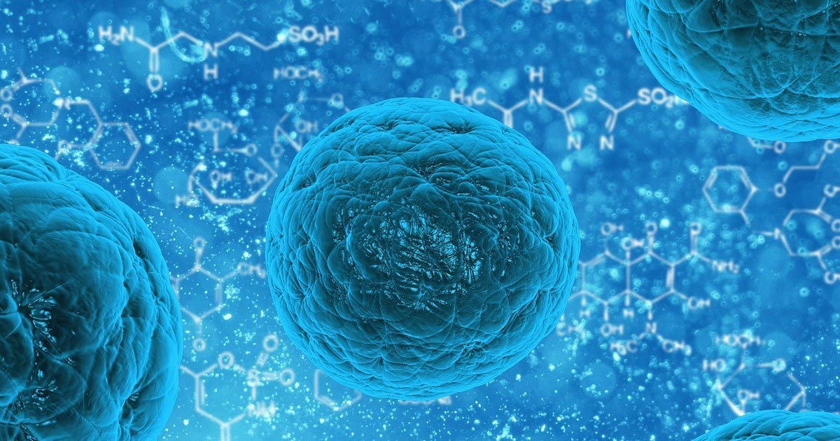 Medicina: ¿Por qué hay tanto interés en las células madre?